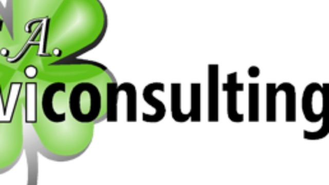 Cevi Consulting